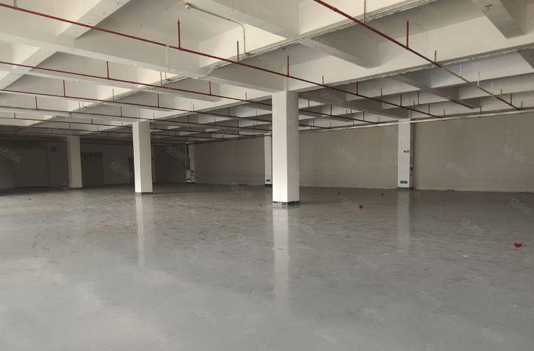 寮步精装修2楼1600平，水电齐全，