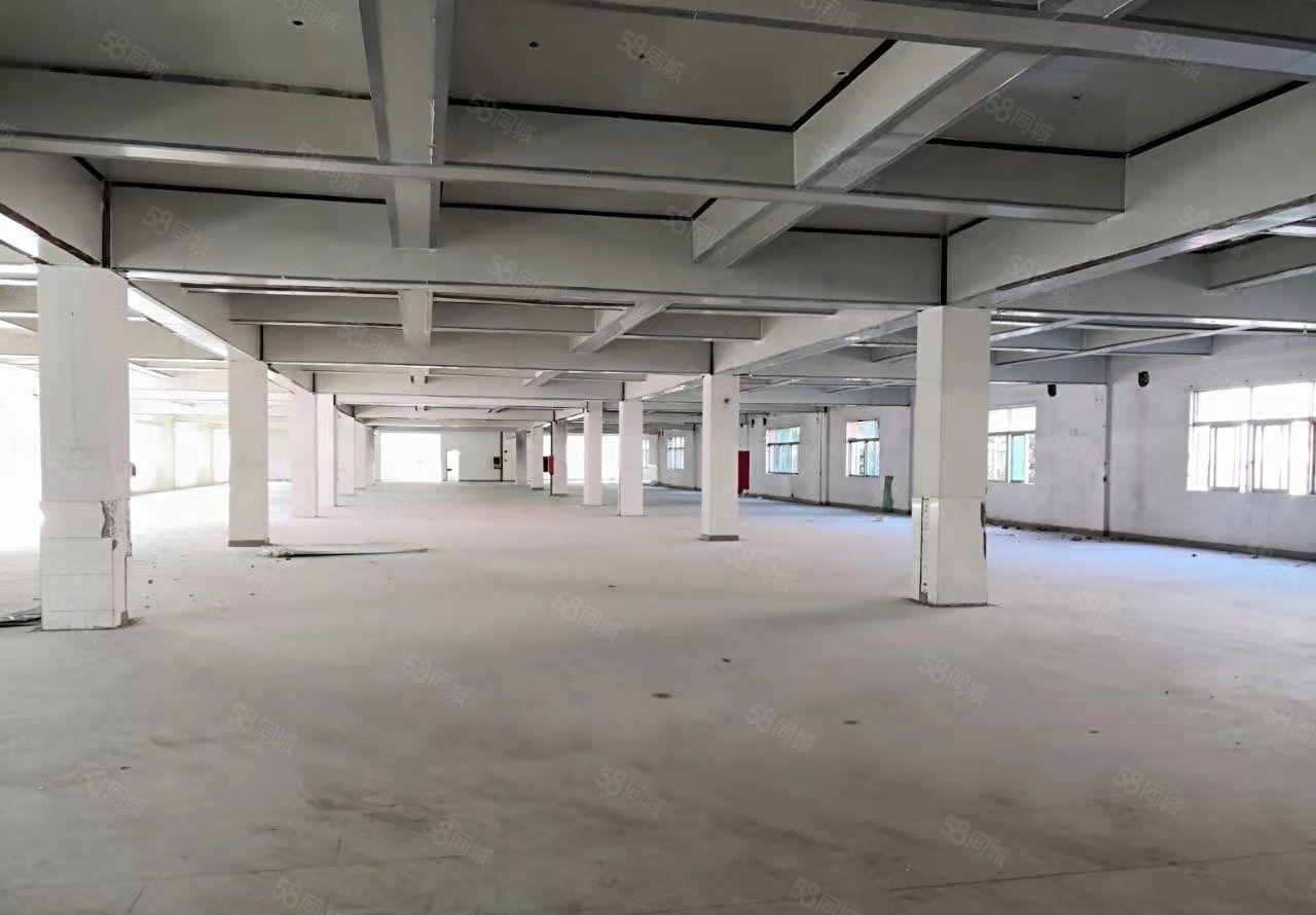 寮步标准厂房出租 全新装修空地超大，配套齐位置佳