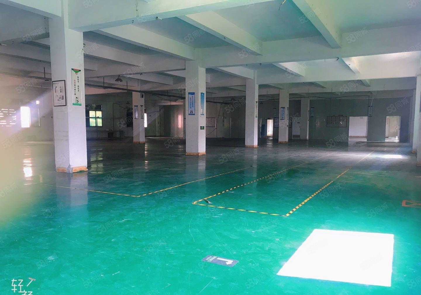 寮步原房东独院厂房院内空地2000平方配套齐全可办环评