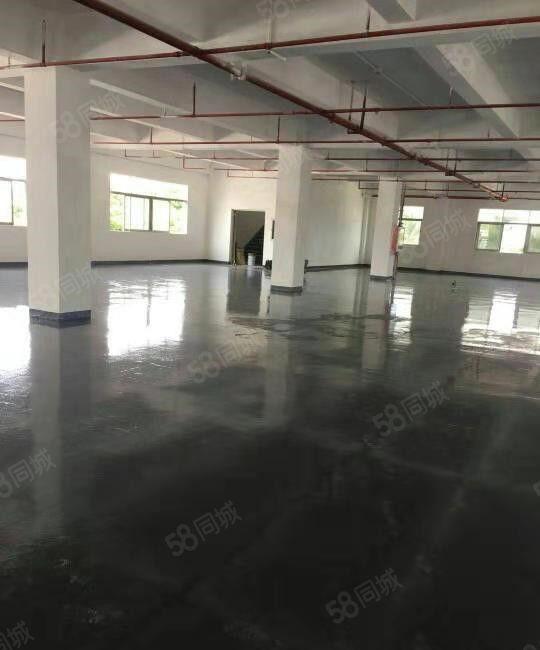 寮步 华南城 高新科技园 二楼 1000平方，带精装修