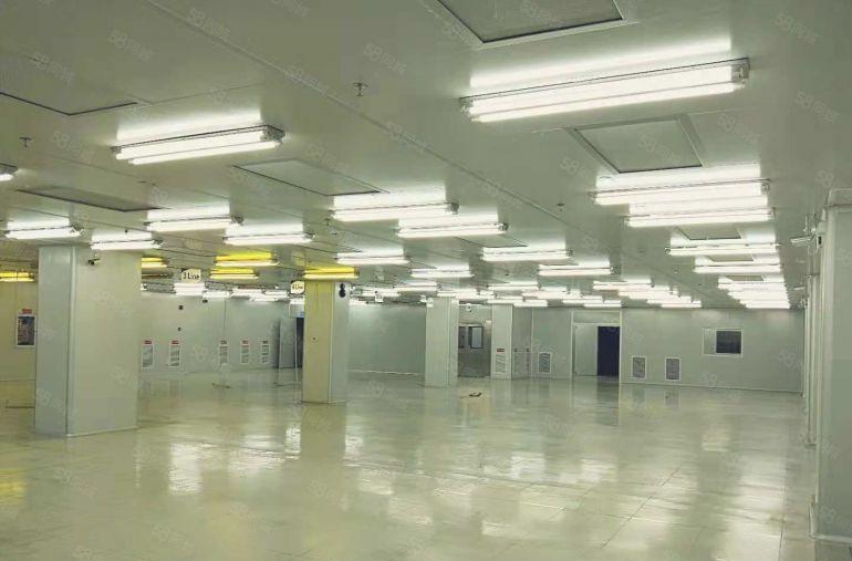 寮步 百业附近 高新科技园3万平方火爆招商,可分租!