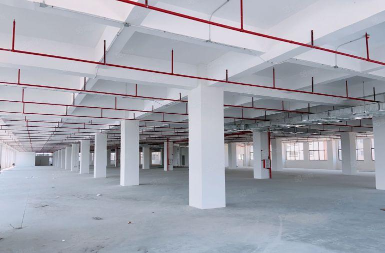 ！茶山原房东标准独门独院5100平方，实际面积厂房出租