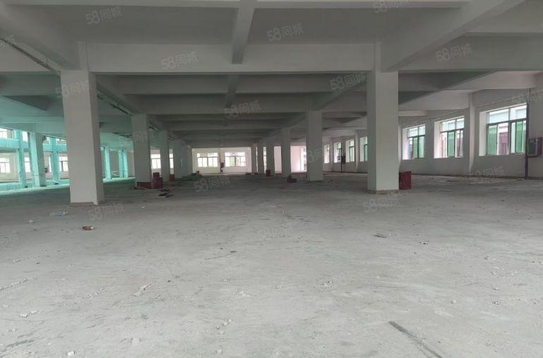 寮步重工业厂房，房东体谅现在行情不好价格便宜，灵活分组