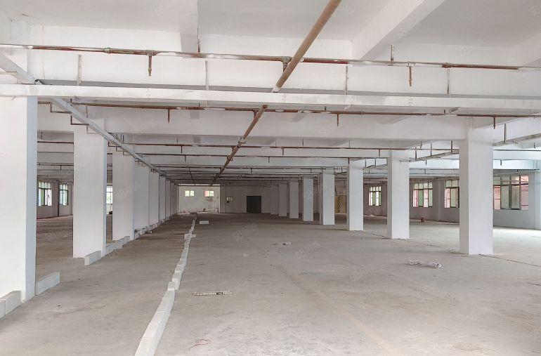 2楼整层3100平，专用3吨货梯。年底特价12.9元每平