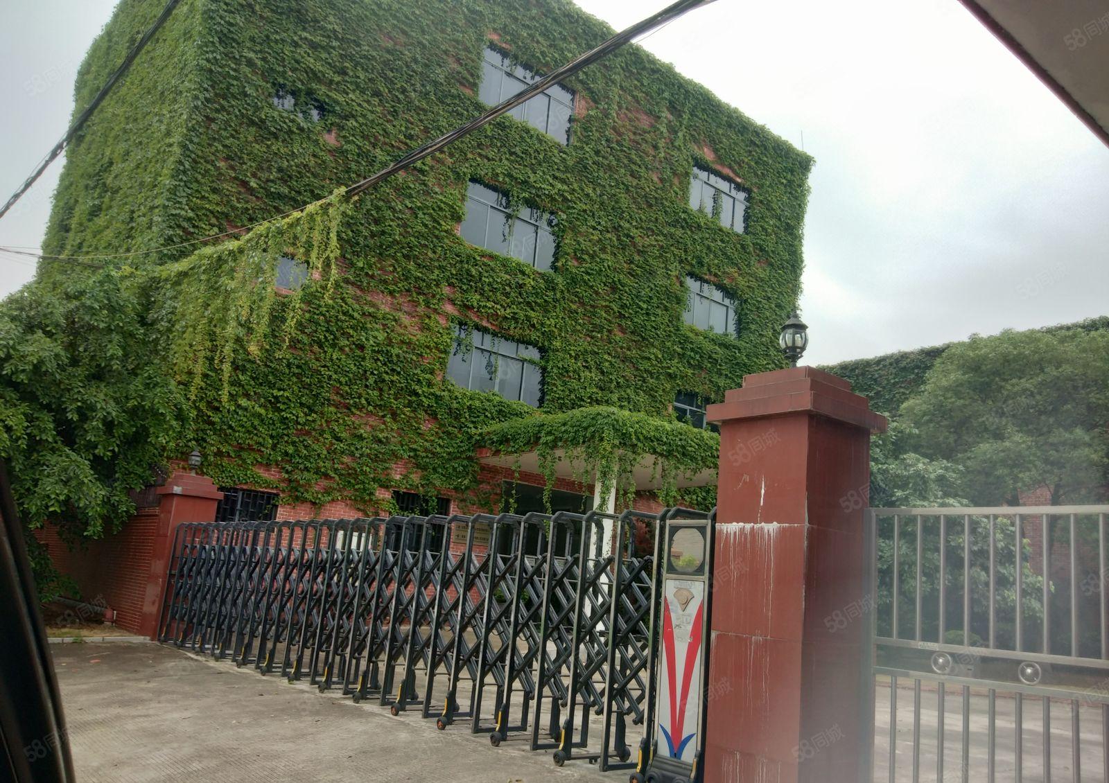 寮步镇华南工业城5000独门独院钢结构厂房招租