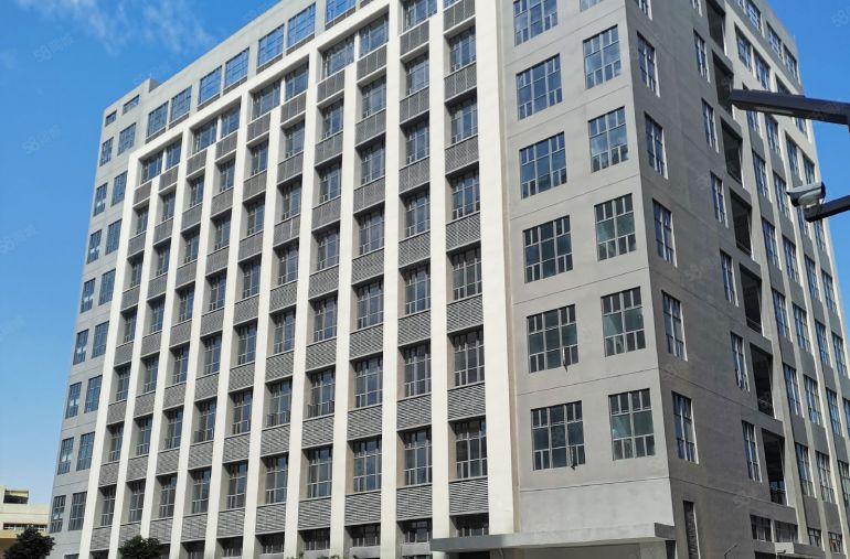 寮步镇新出原房东独门独院红本精装修厂房可分租低价出租