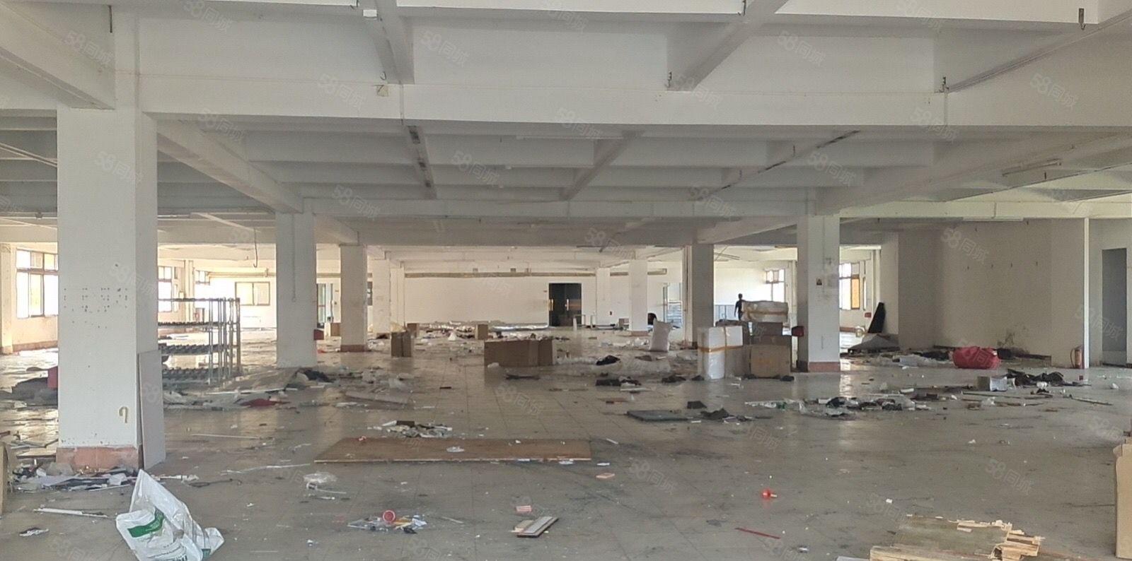 寮步凫山原房东厂房出租7800平方可分租！