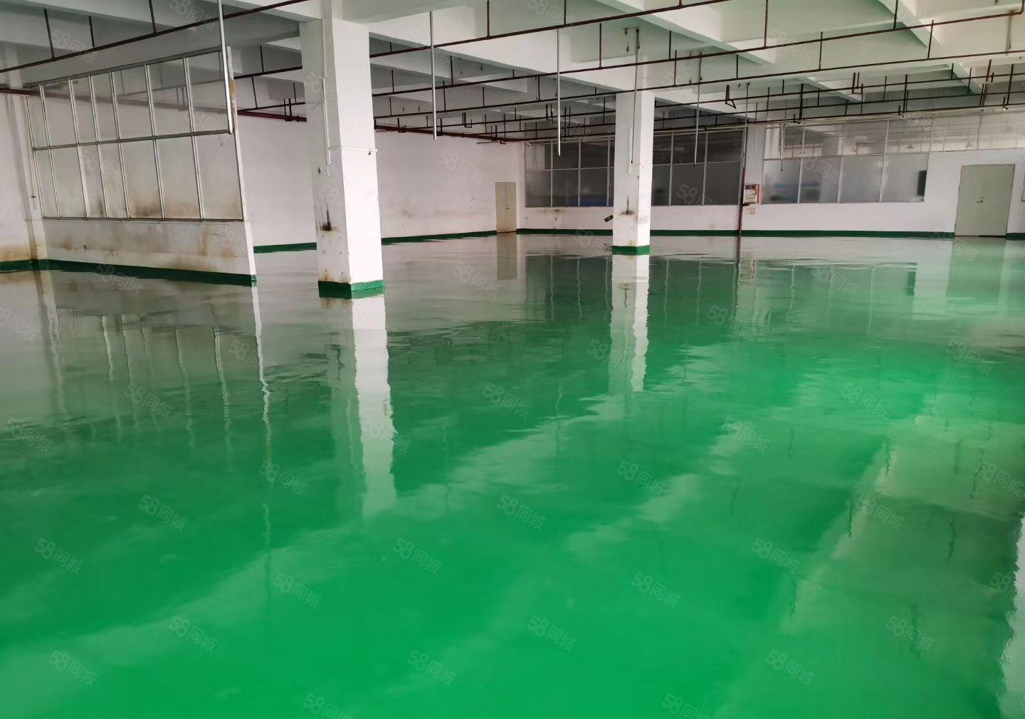 寮步新空出楼上1500平全新地平漆精装修办公室厂房出租