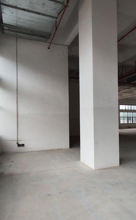 寮步原房东全新独门独院37000平方厂房出租主干道边上形象好