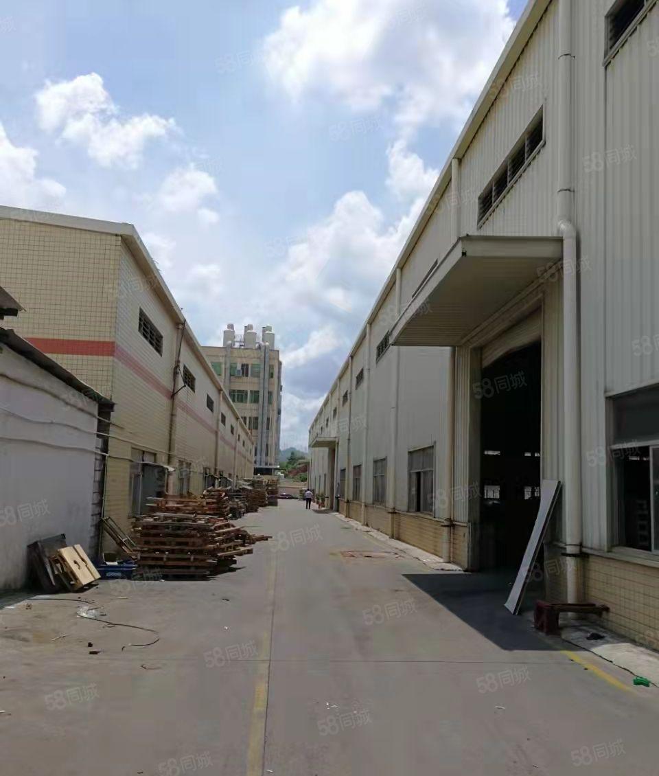 抢~单层钢构3200平方，仅租20元，带装修，滴水10米