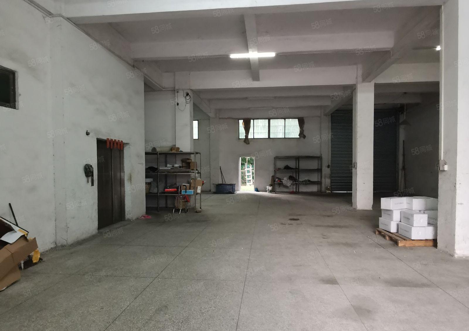 寮步西溪新出原房东一楼350方 7米高 实量面积