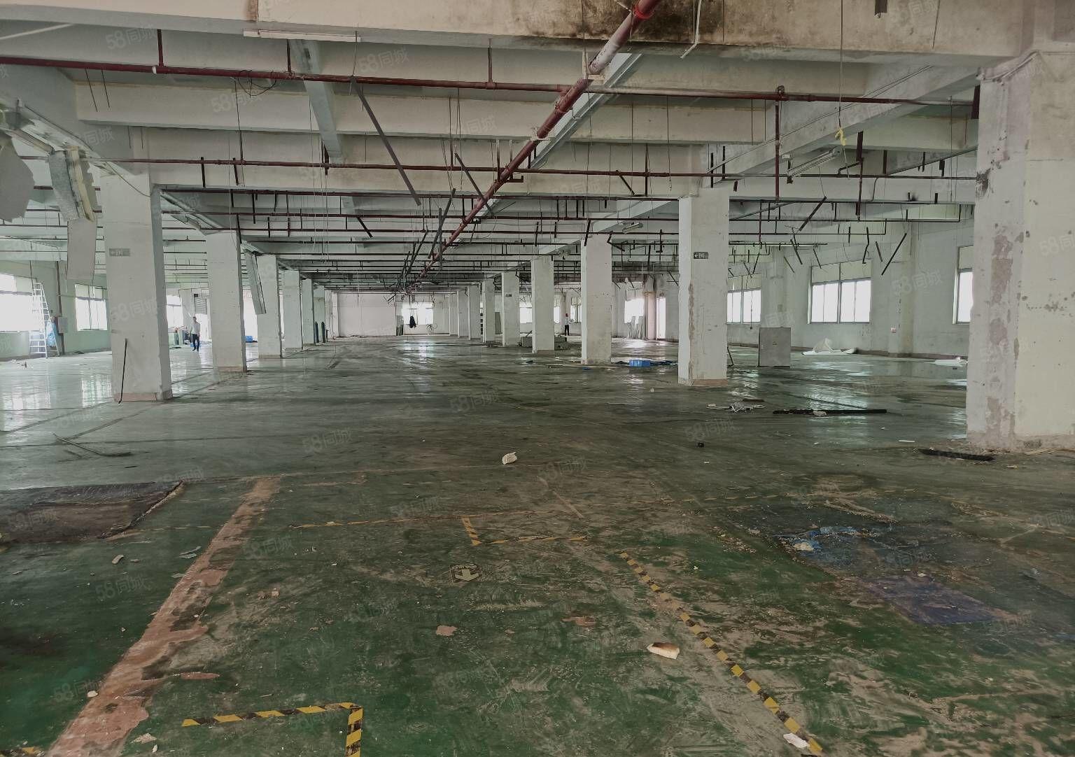 百业汽配城附近独门独院厂房带装修办公室水电4200平，拎包入