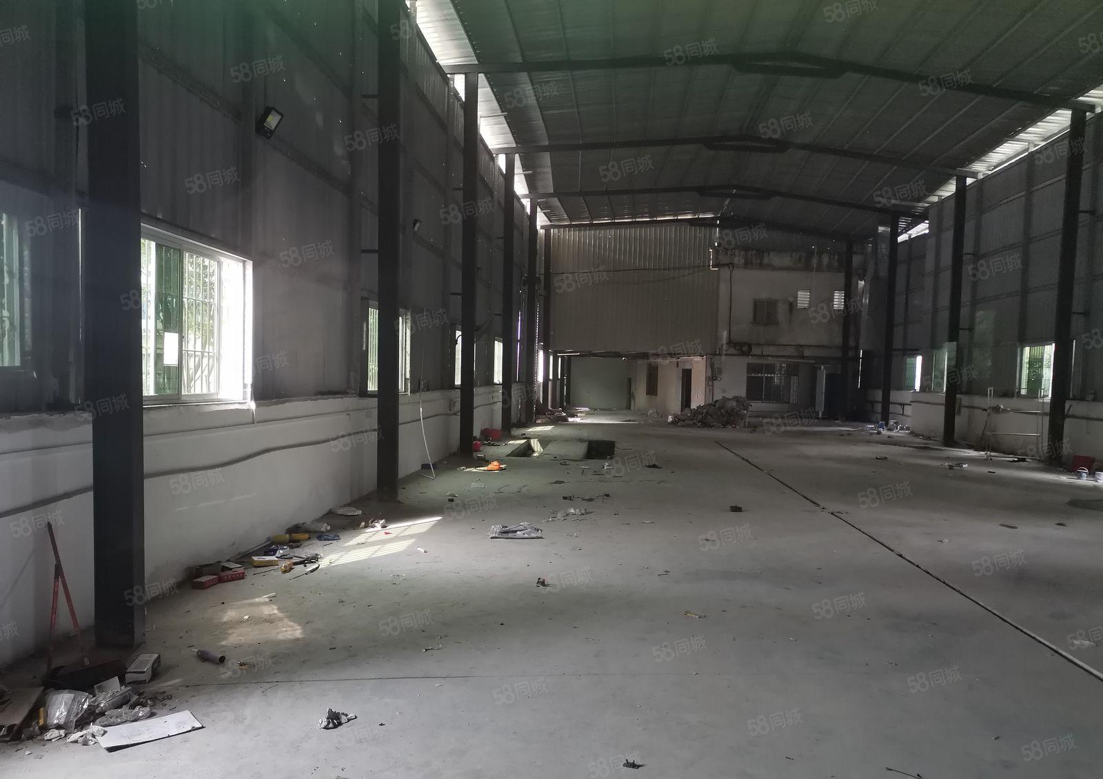 原房东出租独院单一层6米高铁皮房700平方米