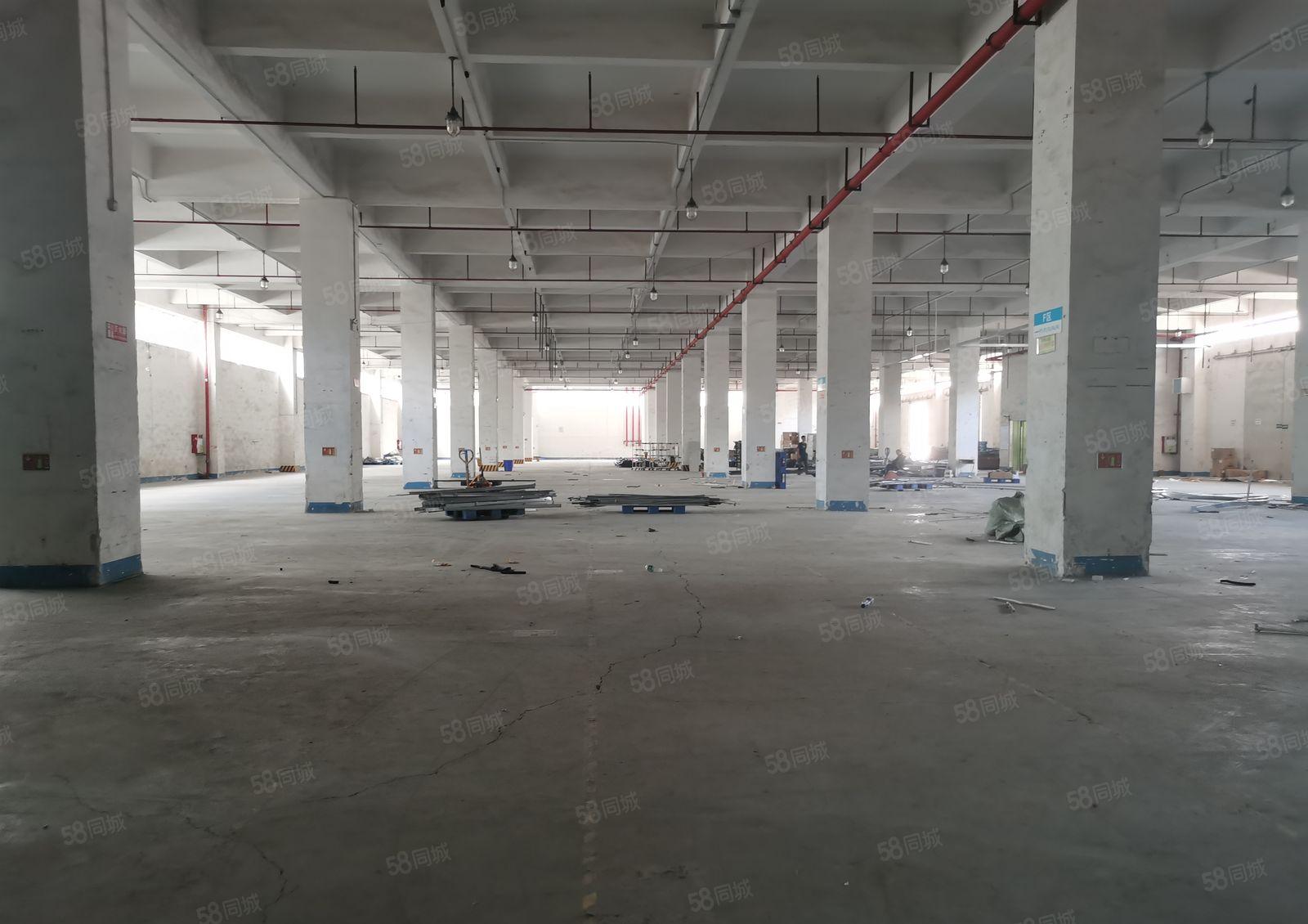 寮步镇靠近松山湖原房东9.5万红本独门独院厂房招租