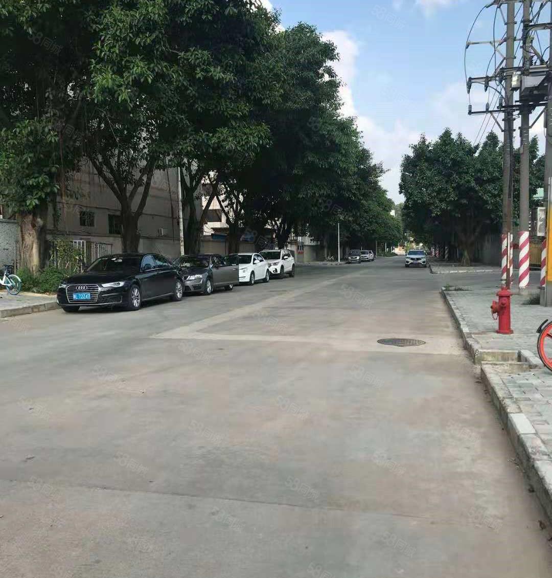 寮步8米高钢结构厂房出租800平方,可做物流仓库！