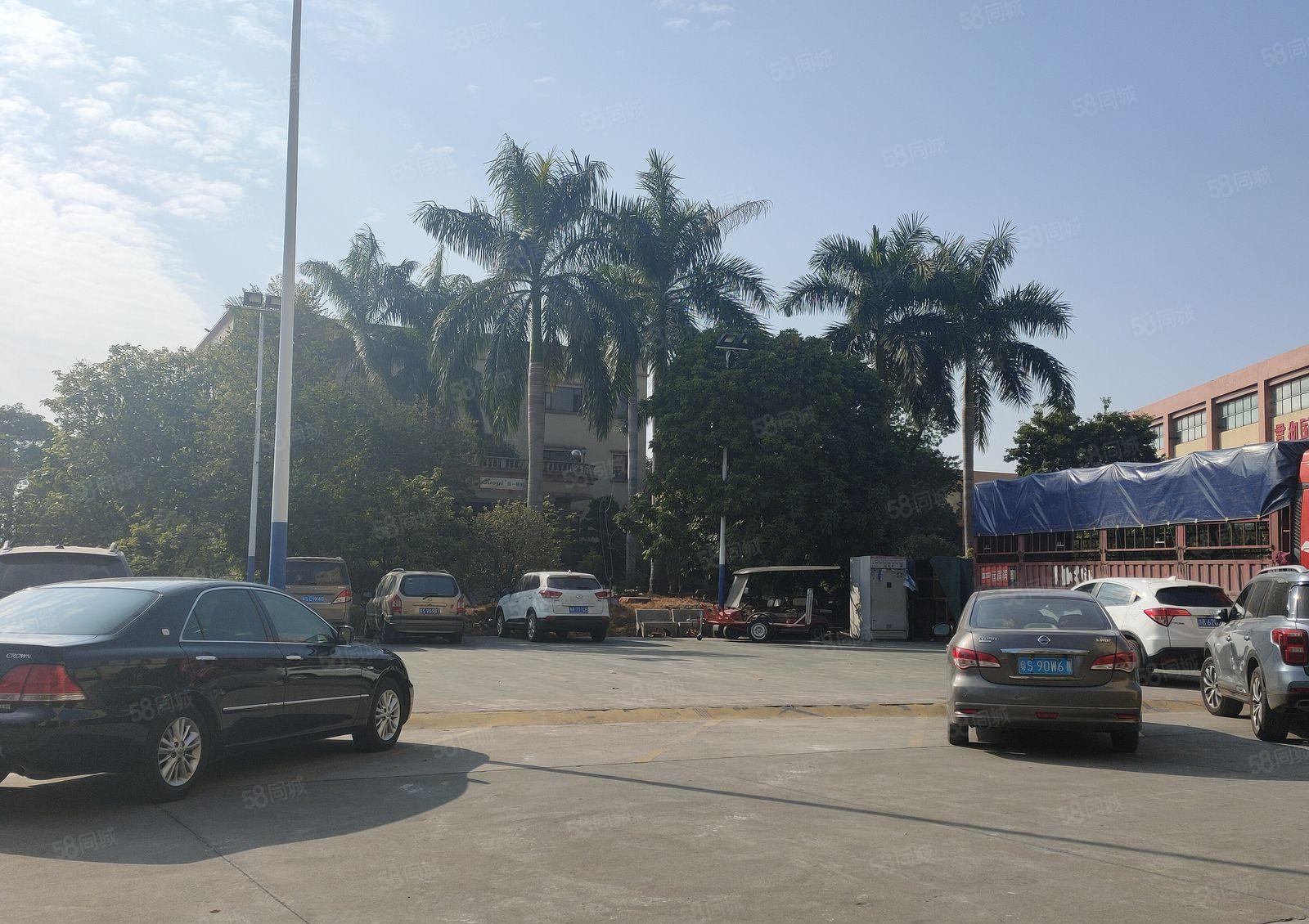 寮步 凫山 8米高 钢构 厂房出租1500平方,九成新