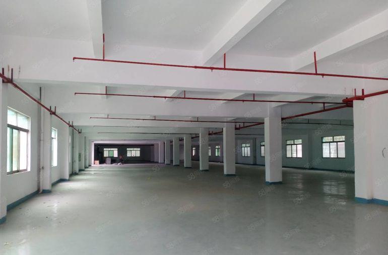 寮步上屯工业区独门独院靓盘