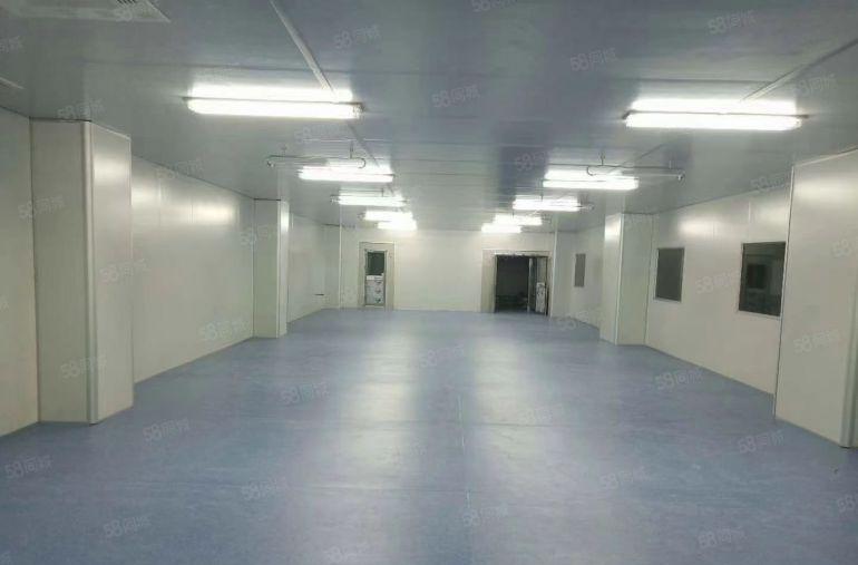 寮步镇原房东独院厂房出租十万级无尘车间空地大水电齐全