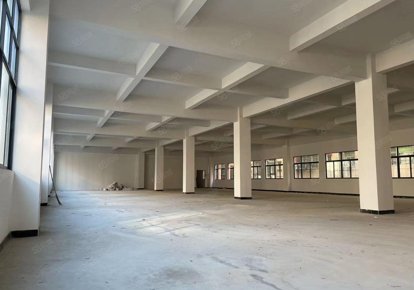 寮步镇华南城工业区新出独院9100平方，大小可以分租