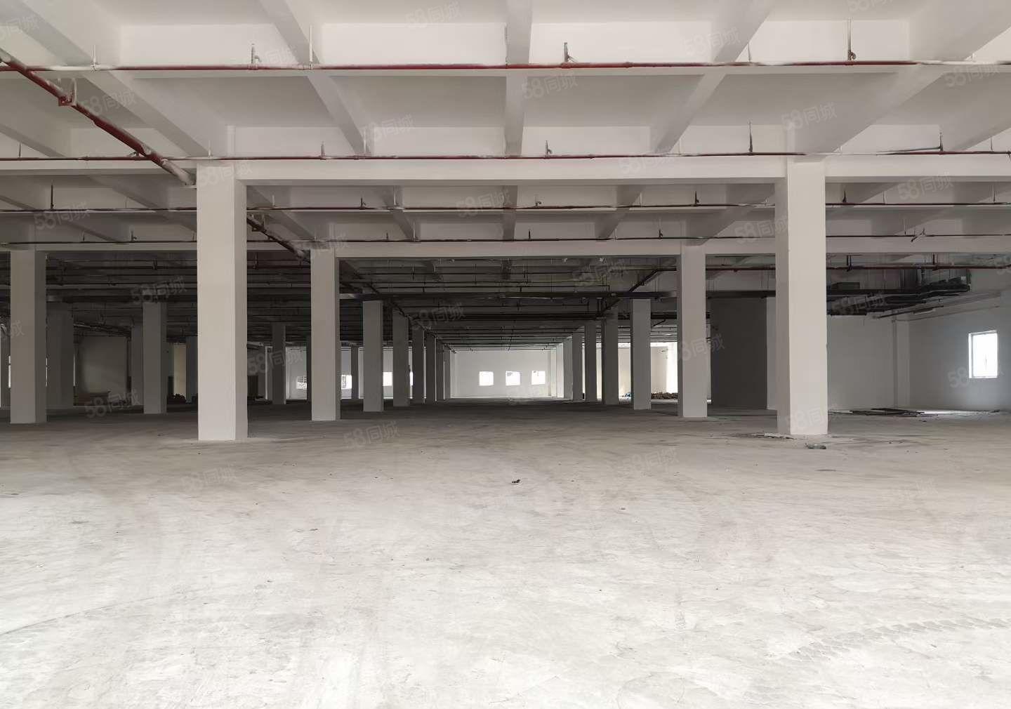 寮步华南城旁独院一楼高7米3000平超低价厂房出租 不限电