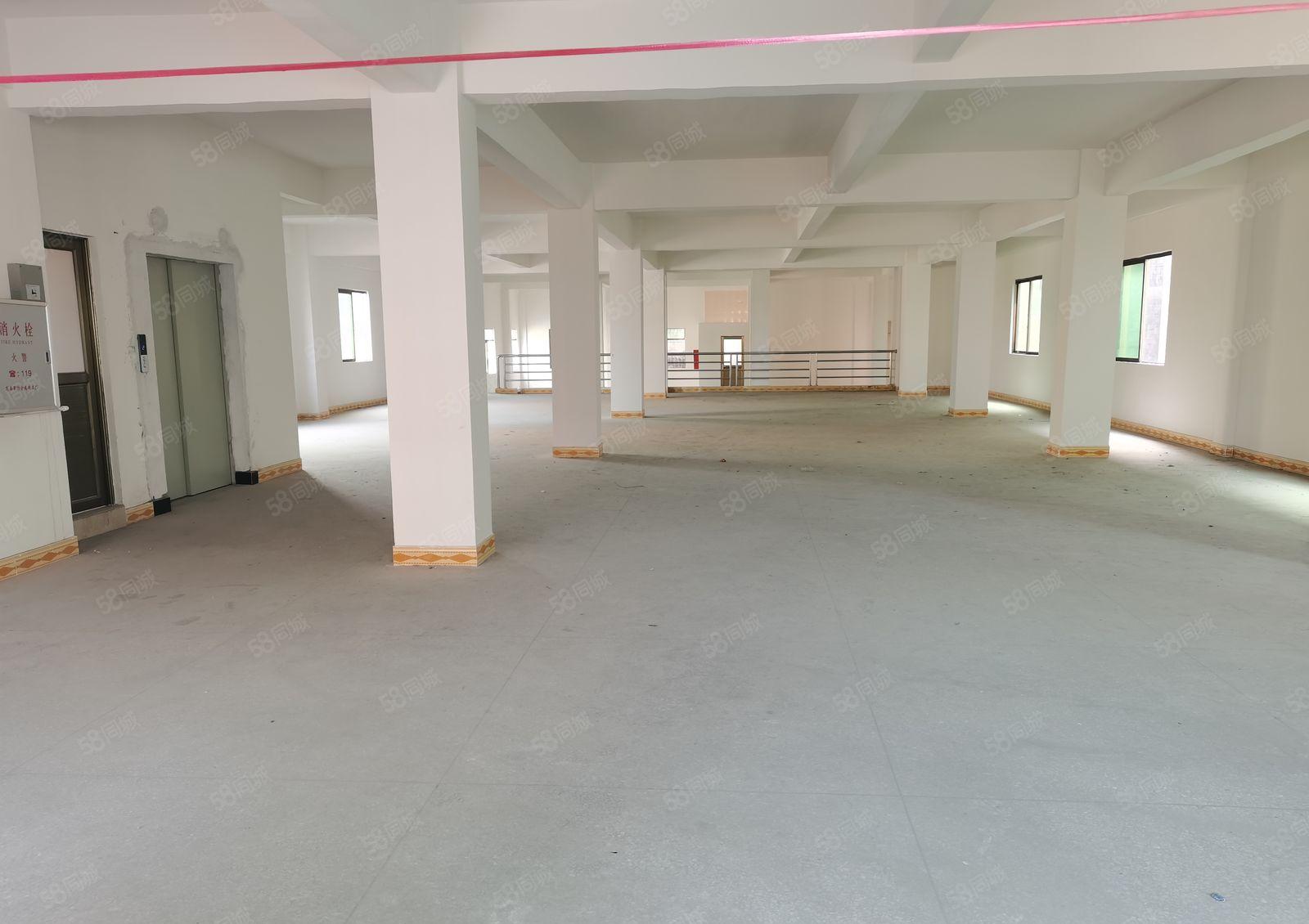 寮步竹园新出低价厂房五楼700平方价格便宜甩租