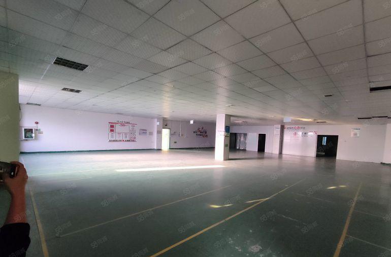 寮步凫山洁净厂房出租，拎包入驻，有1400平，600平形象好