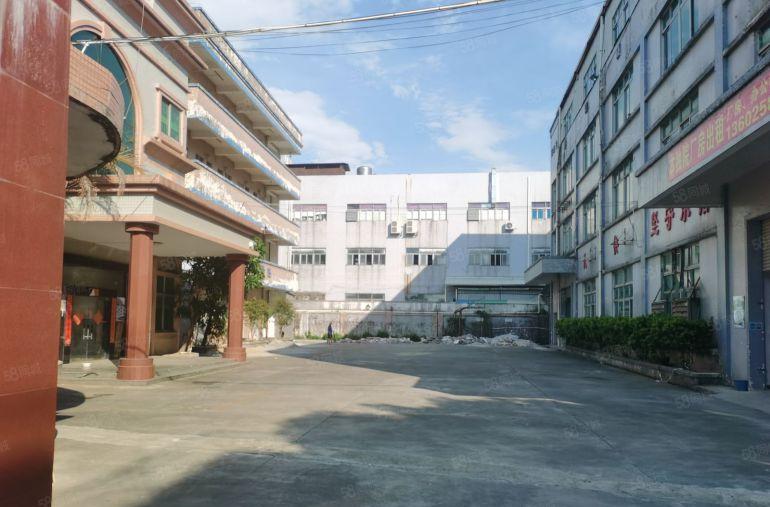 寮步独院厂房出租一楼1000平方米起租带办公室精装修原房东