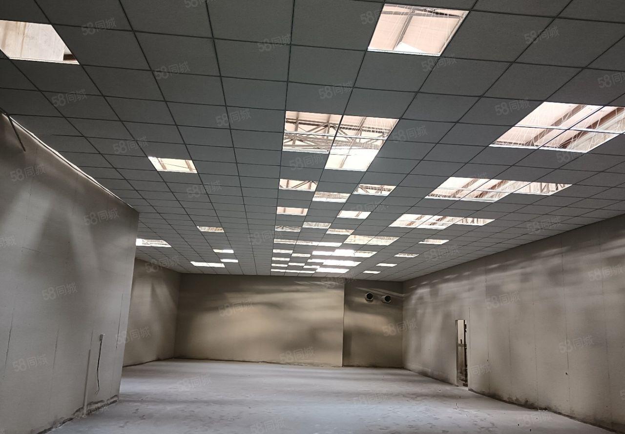 寮步新出一手房东独院钢构4600平米厂房出租欢迎来电详询。