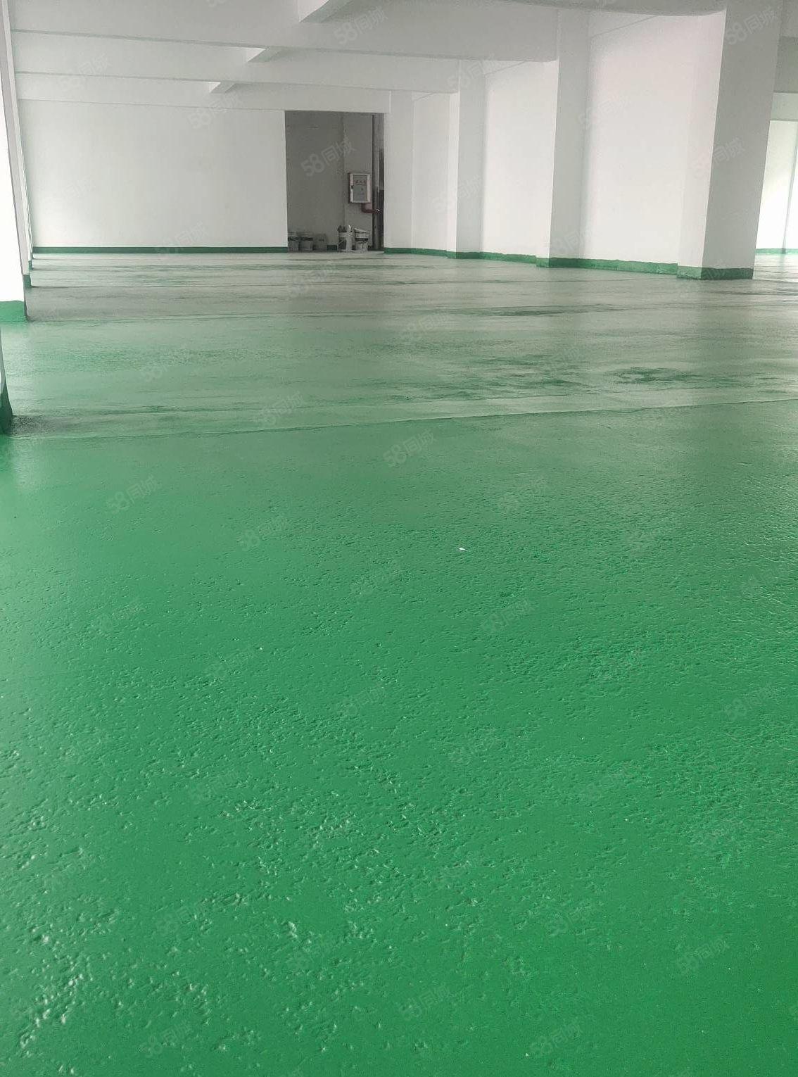 全新地坪漆15元全包！大小分租！