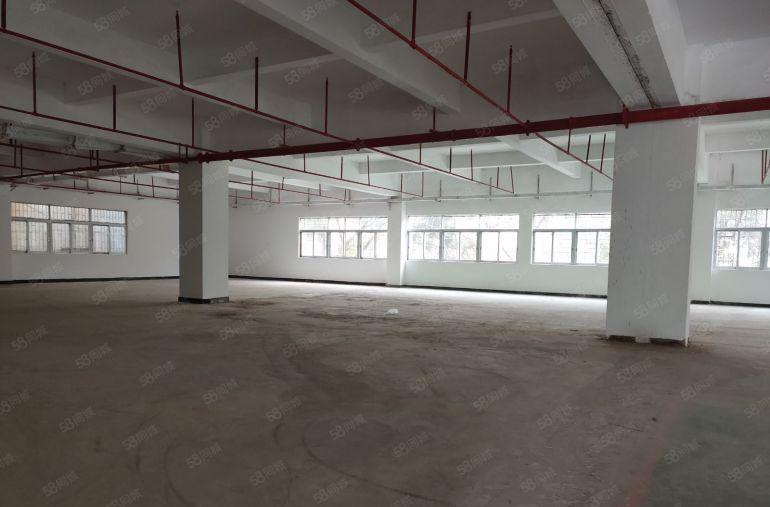 寮步 上底 独院厂房 分租整层2000平方.现成装修