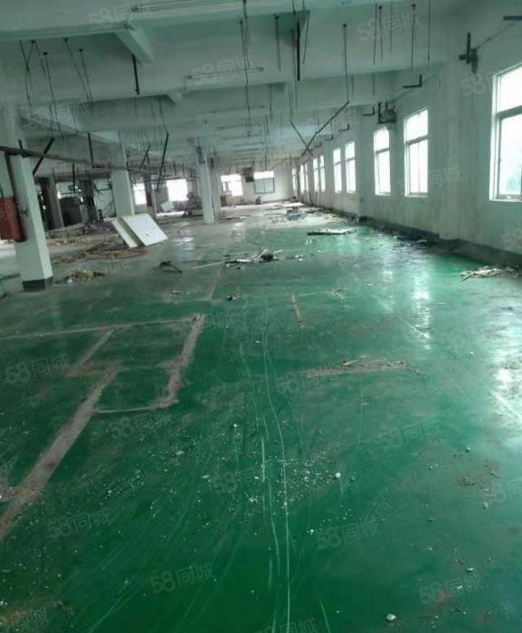 寮步石步独院厂房出租2000平方，原房东