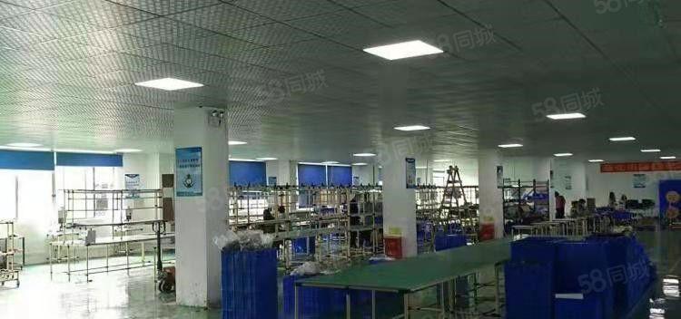 寮步岭厦即将空出二楼整层600平方，精装修，九成新