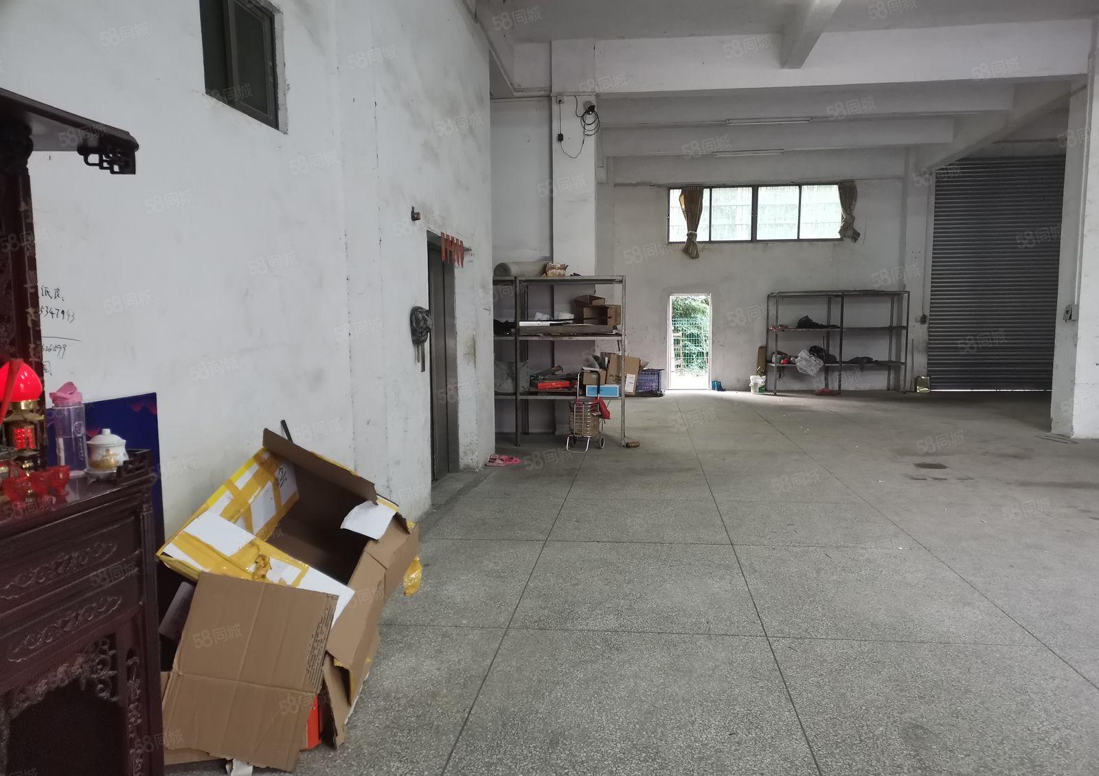 寮步西溪新出原房东一楼350方 7米高 实量面积