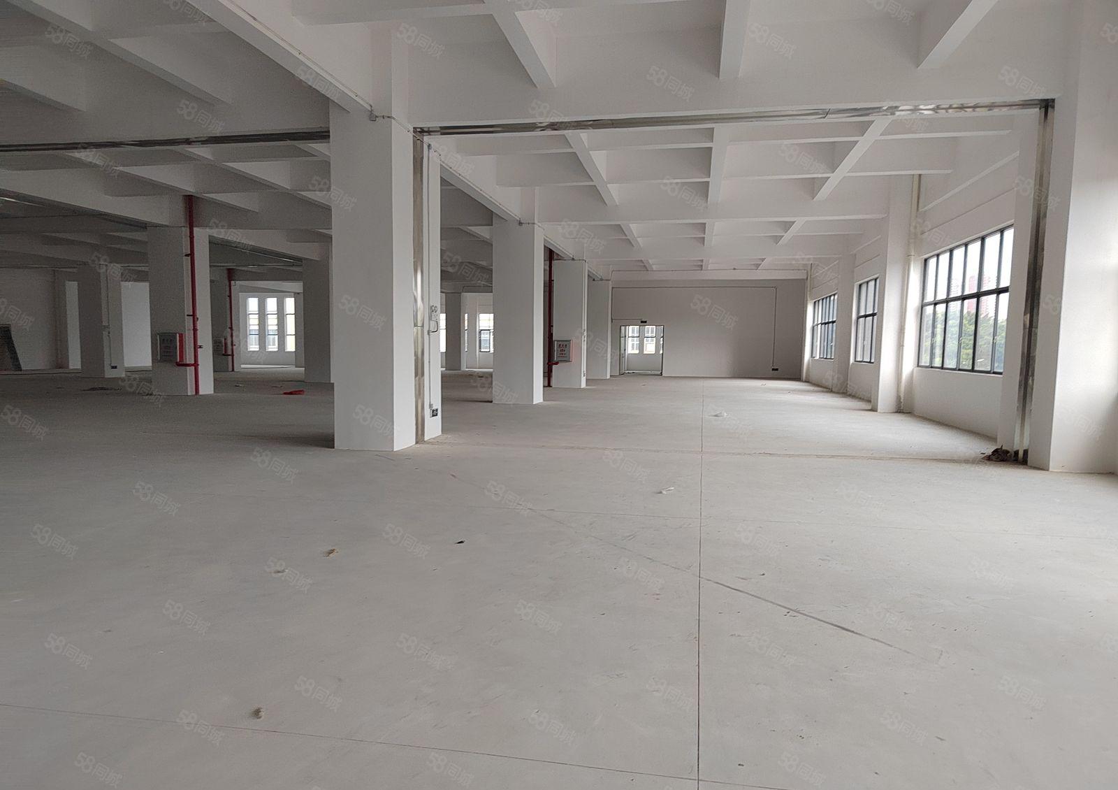 石龙坑独门独院标准3层工业厂房13000平一楼高6米大小分租