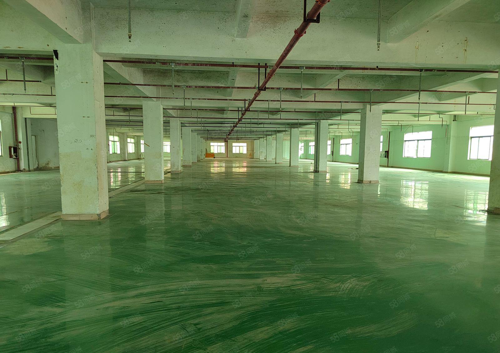 药勒带红本超大空地独门独院标准三层15300厂房低价大小分租