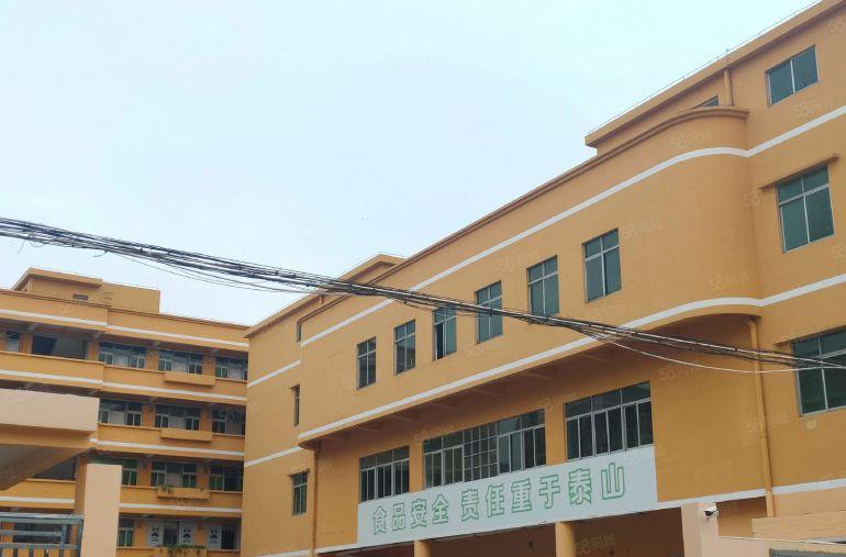 寮步 向西 路口 小厂房 700平方,7元急租！好招工