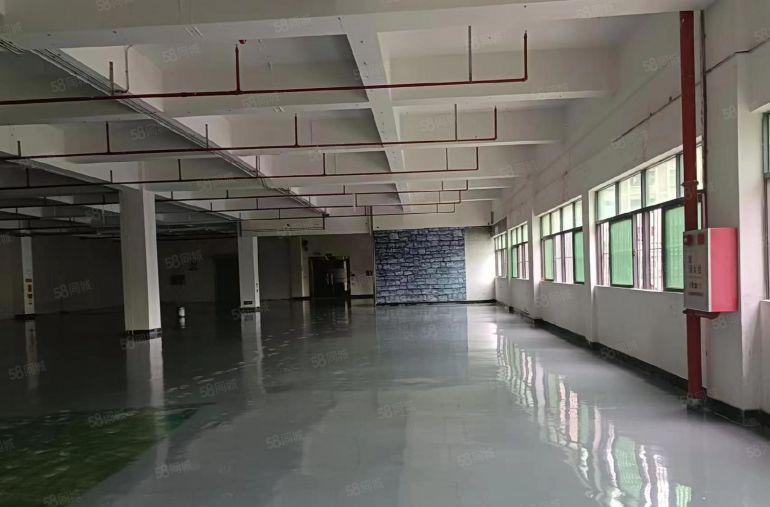 特价出租凫山村新出标准厂房三楼1600方，水电齐全，