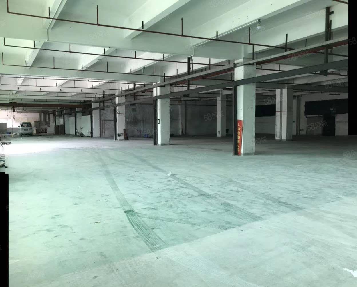 寮步凫山新出独门独院带超大空地，厂房11800平，价格实惠出