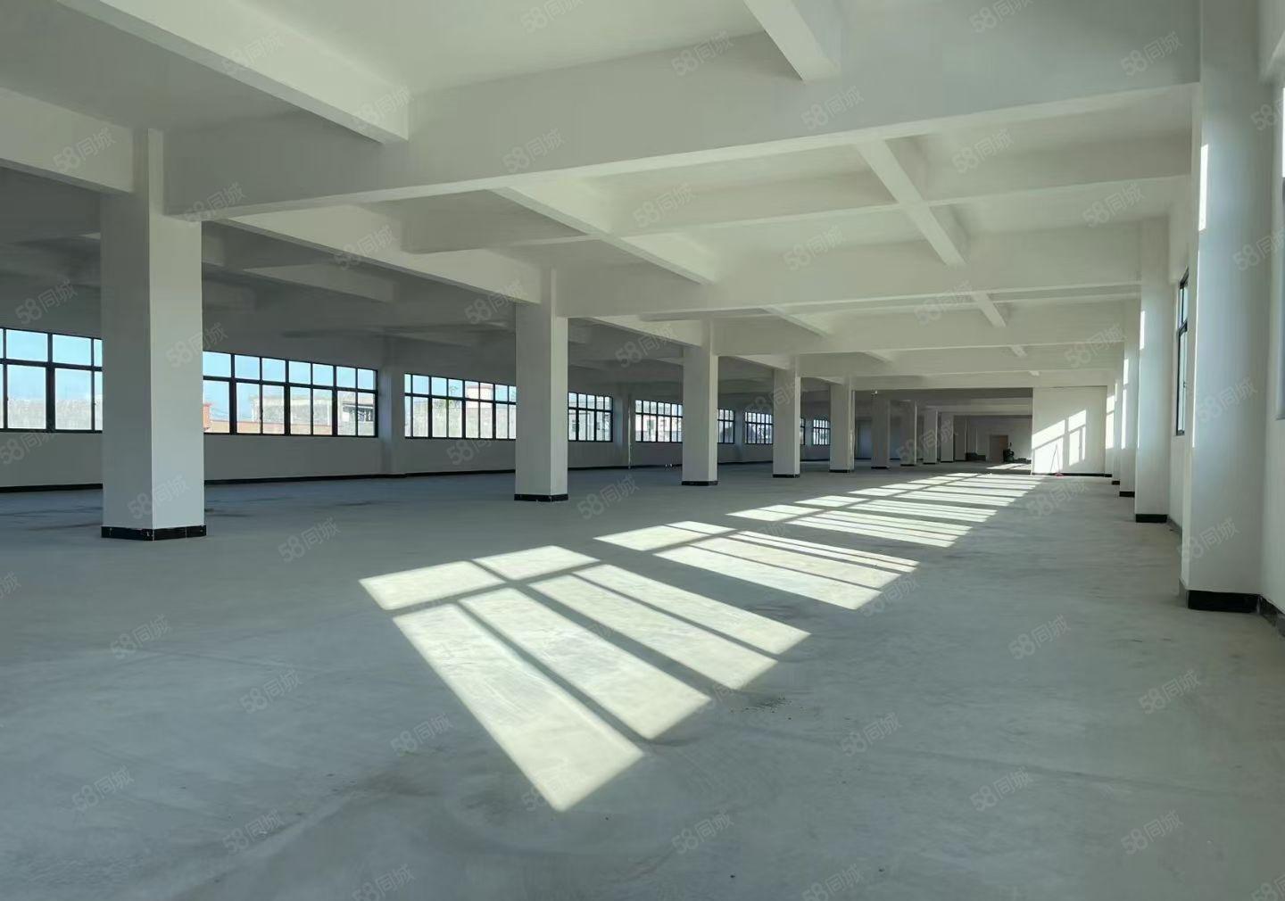 寮步镇华南城工业区新出独院9100平方，大小可以分租