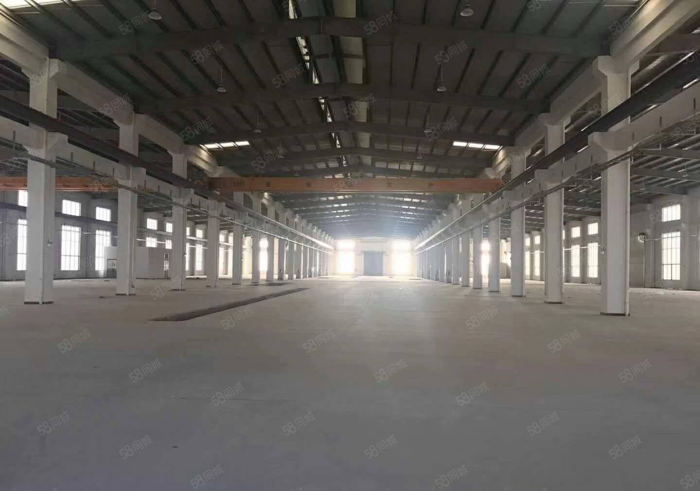 良边 全新 厂房 仓库出租 300平 600平 800平方