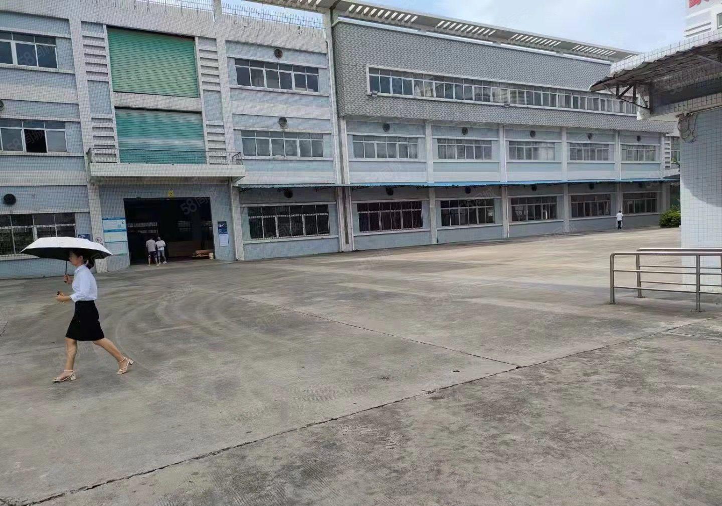 寮步新出原房东花园式独院27800平方，超大空地