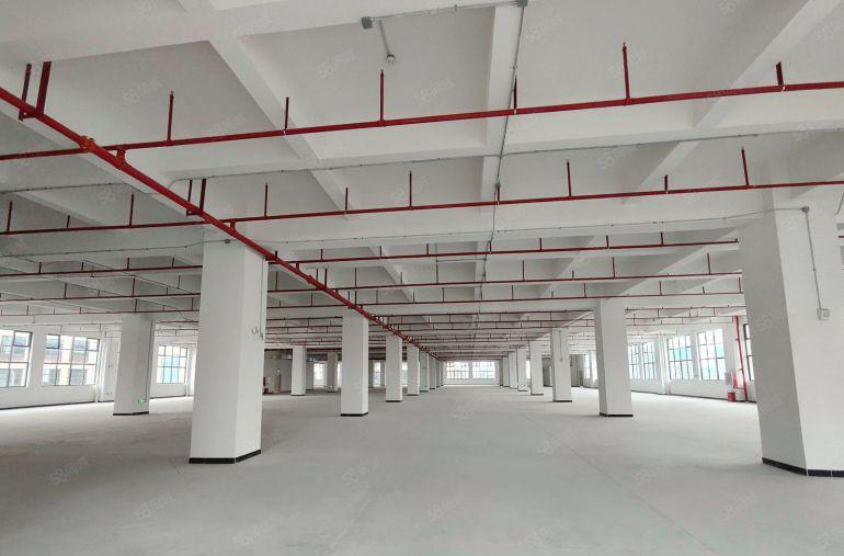 寮步凫山全新54000平方厂房出租1000平起分租靠近莞樟路