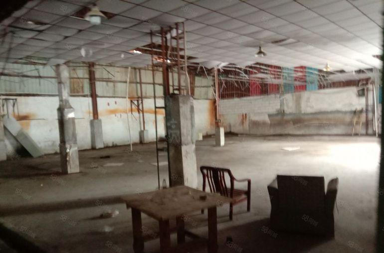 寮步镇(独院厂房)钢构单一层950平方，出租18元