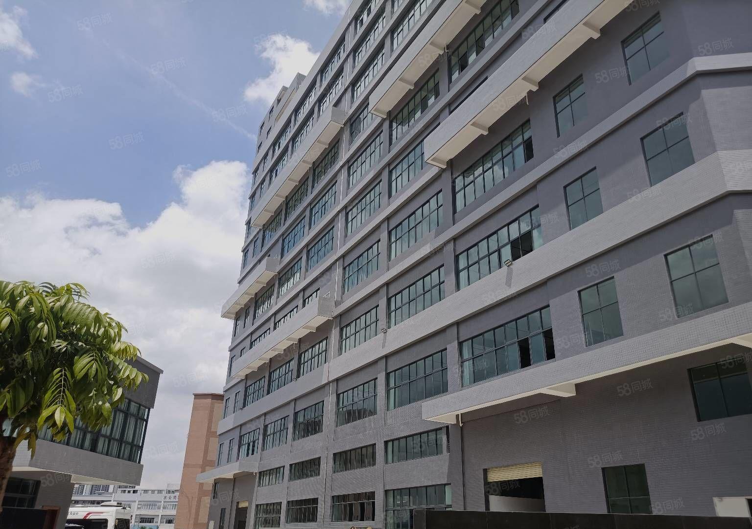 寮步泉塘工业区，全新重工业厂房仓库带红本出租600平起分