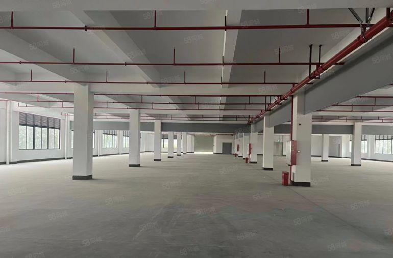 10元寮步原房东无尘精装修独院厂房出租一楼到三楼各1000平