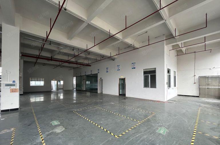 急租寮步原房东楼上整层1620平 适合电子电商外贸展厅小加工