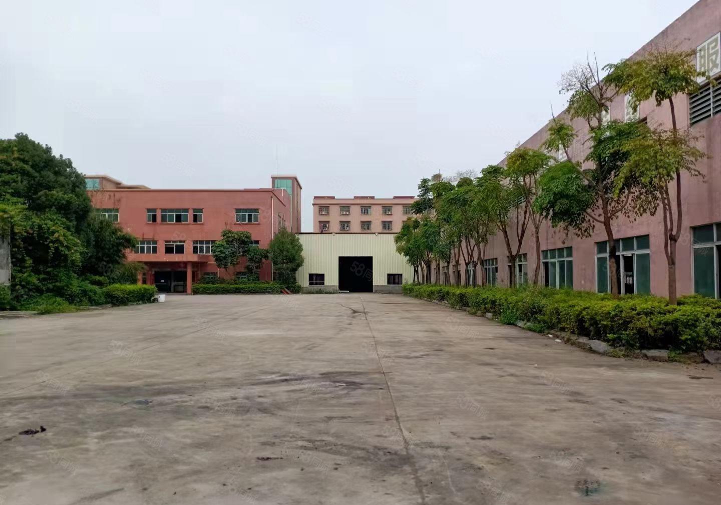 东部快速路周边镇区单一层钢结构独院厂房出租分租或整租