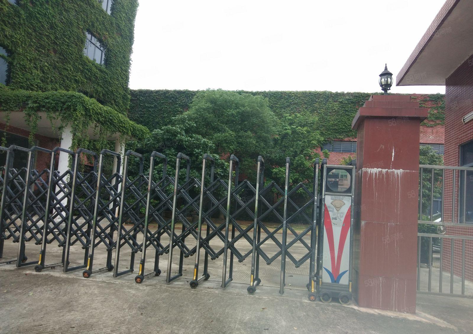 寮步镇华南工业城5000独门独院钢结构厂房招租