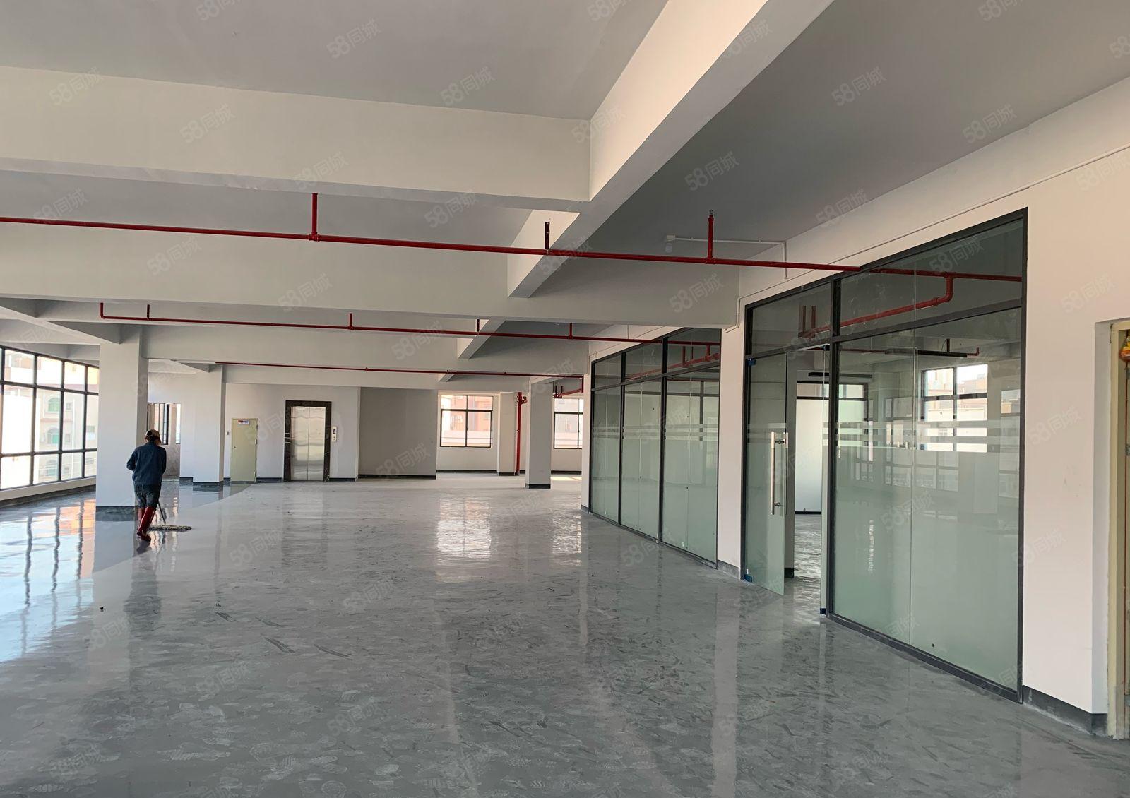 松湖独院厂房1000平方米带5吨货梯出租