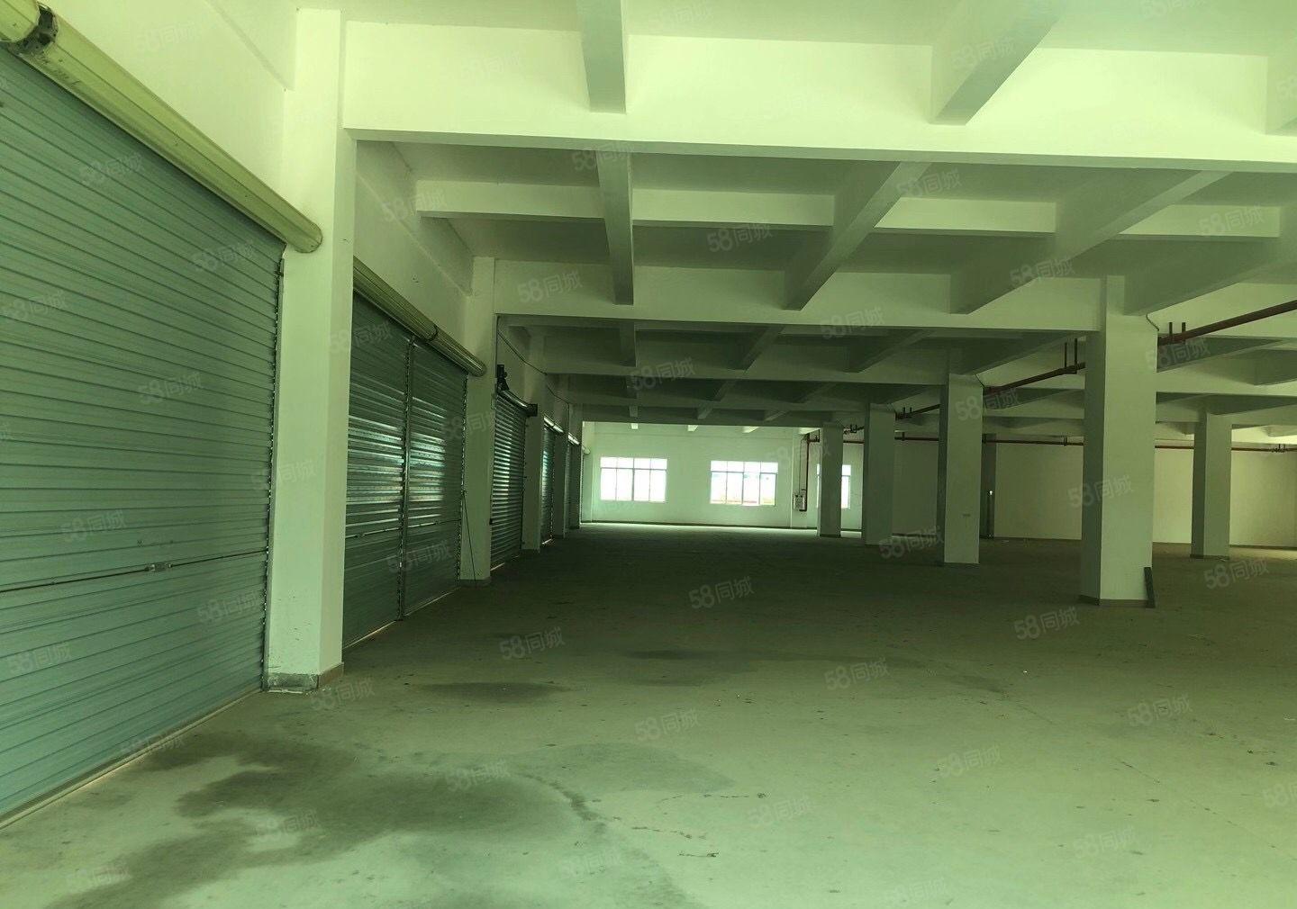 寮步竹园即将空出独院厂房！形象好